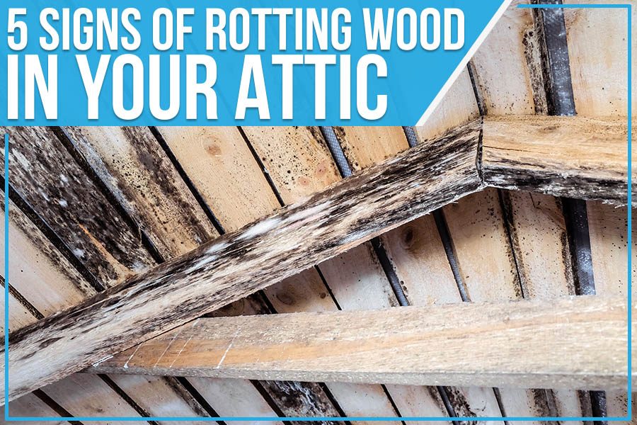 Attics are often neglected parts of a home. We store holiday decorations and forgotten memorabilia in our attics and seldom venture up there. Though if