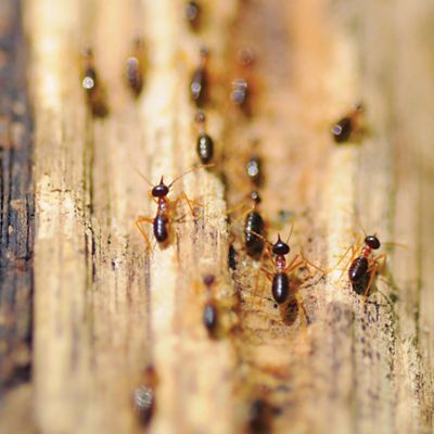 Integrity Exteriors Images